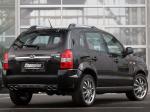 Hyundai Tucson Champion 2005 года